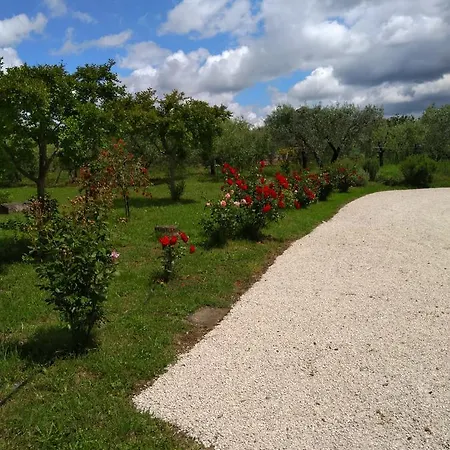 Casa Vacanze Le Rose Ariccia Exterior photo