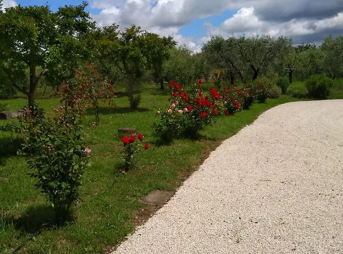 Casa Vacanze Le Rose