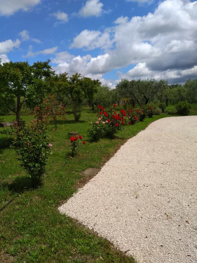 Le Rose Holiday home