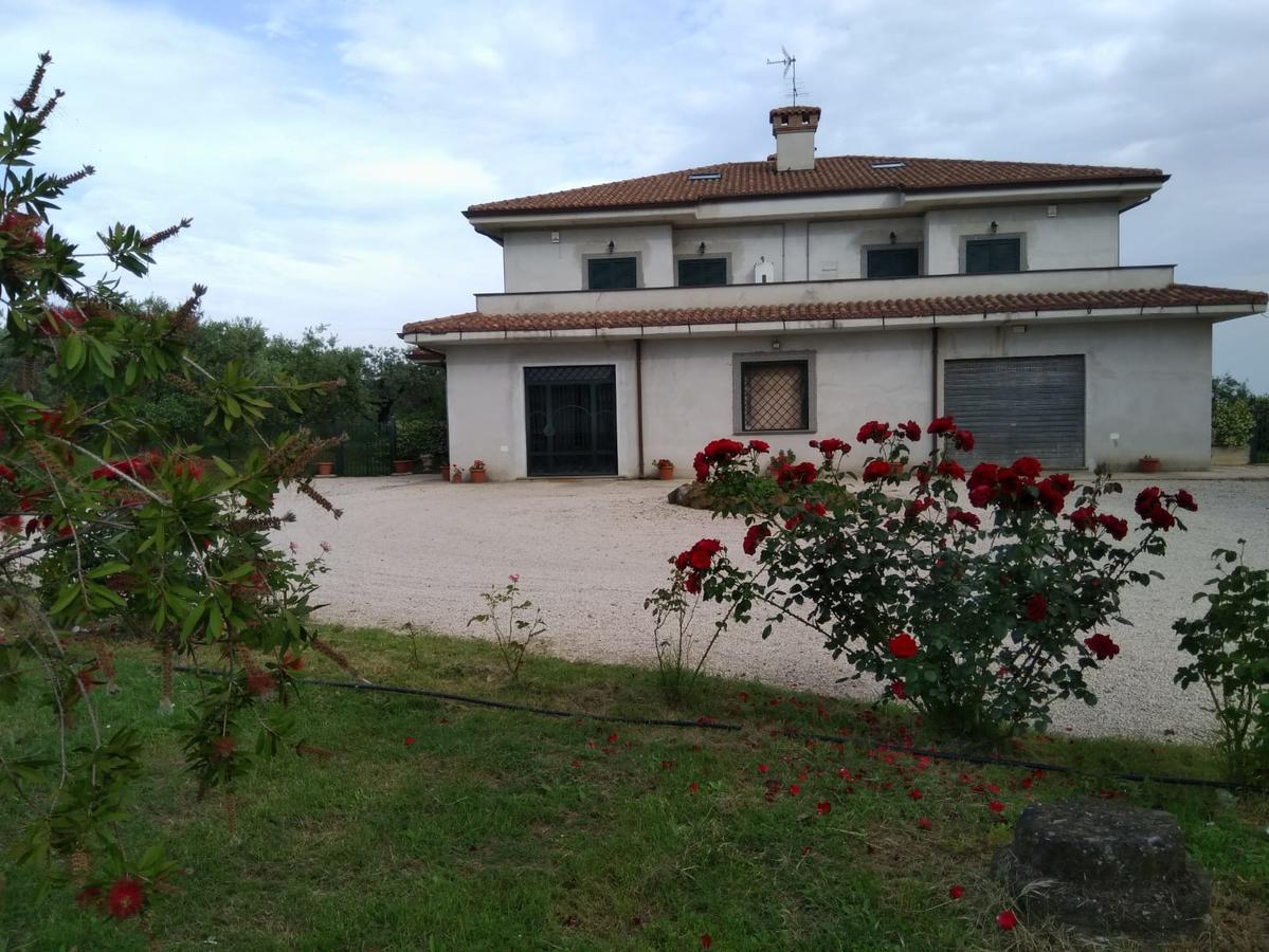 Le Rose *