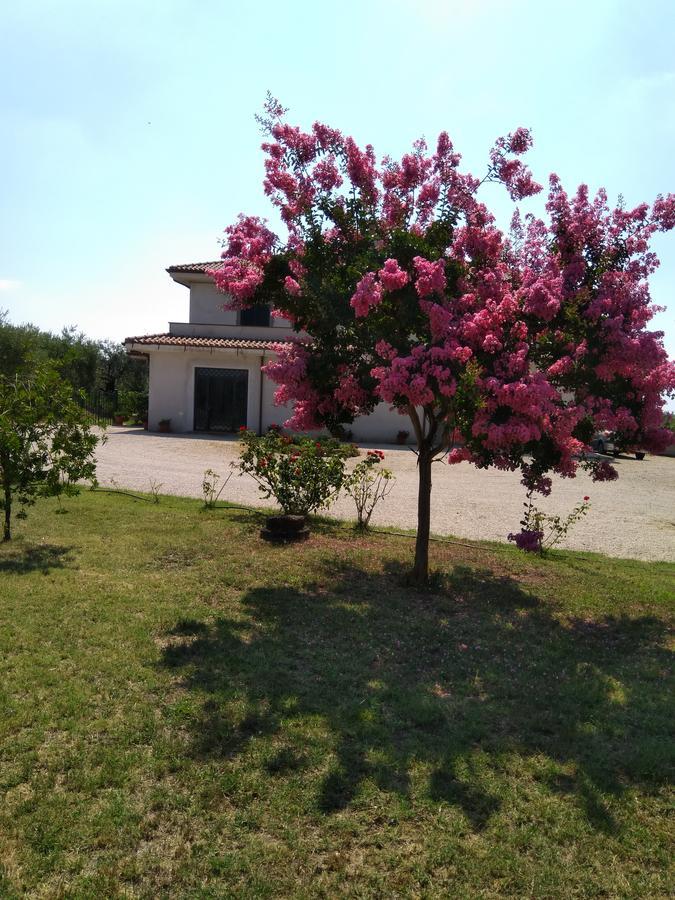 Le Rose Holiday home *