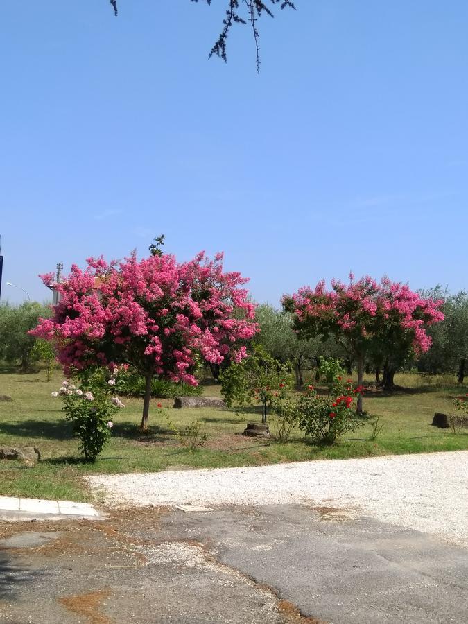 Le Rose Ariccia